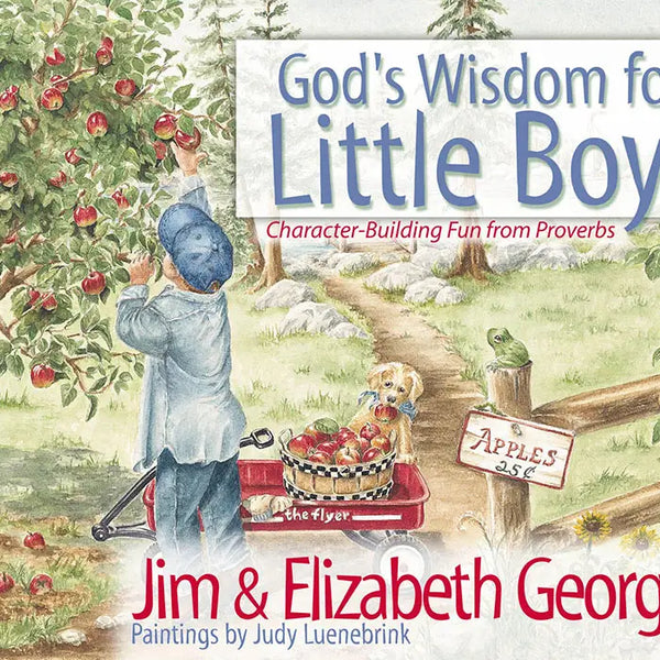 God's Wisdom For Little Boys, Book - Kids (4-8)